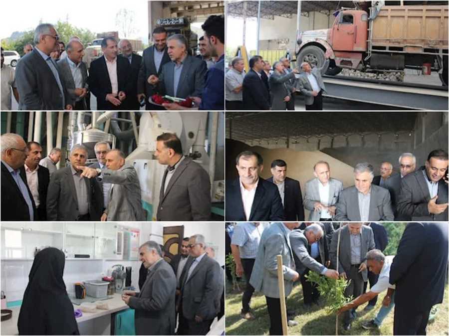 افتتاح سیلوی بتنی ۲۰ هزار تنی کارخانه آرد ستاک در مازندران 