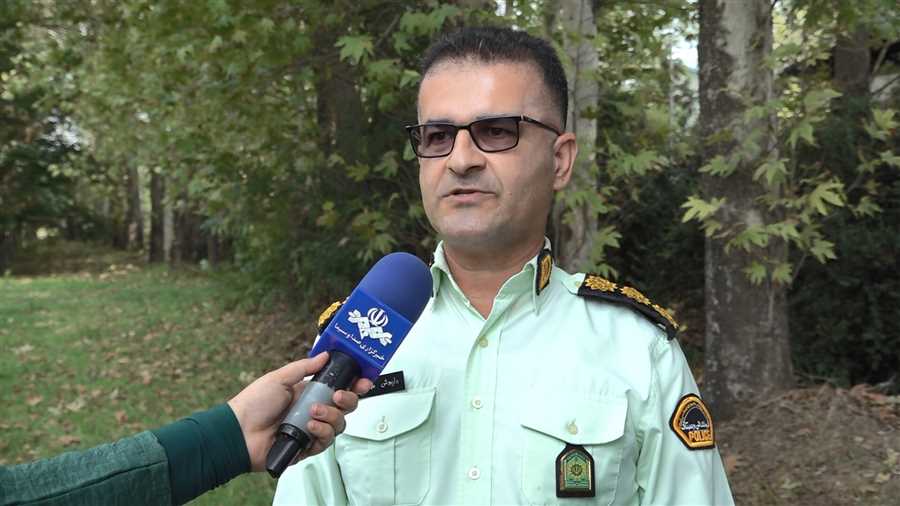 انهدام ۲۷ باند سازمان‌یافته قاچاق چوب در مازندران 