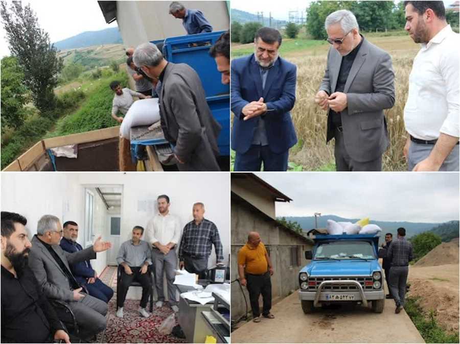 گندم‌کاران استان به میزان رطوبت محصول هنگام برداشت توجه نمایند 