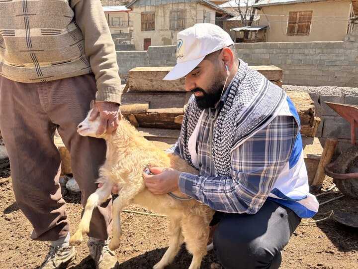واکسینه شدن ۹۳۴ هزار راس دام در مازندران