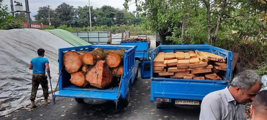 زمینگیرشدن باند چوب آلات قاچاق جنگلی در آمل