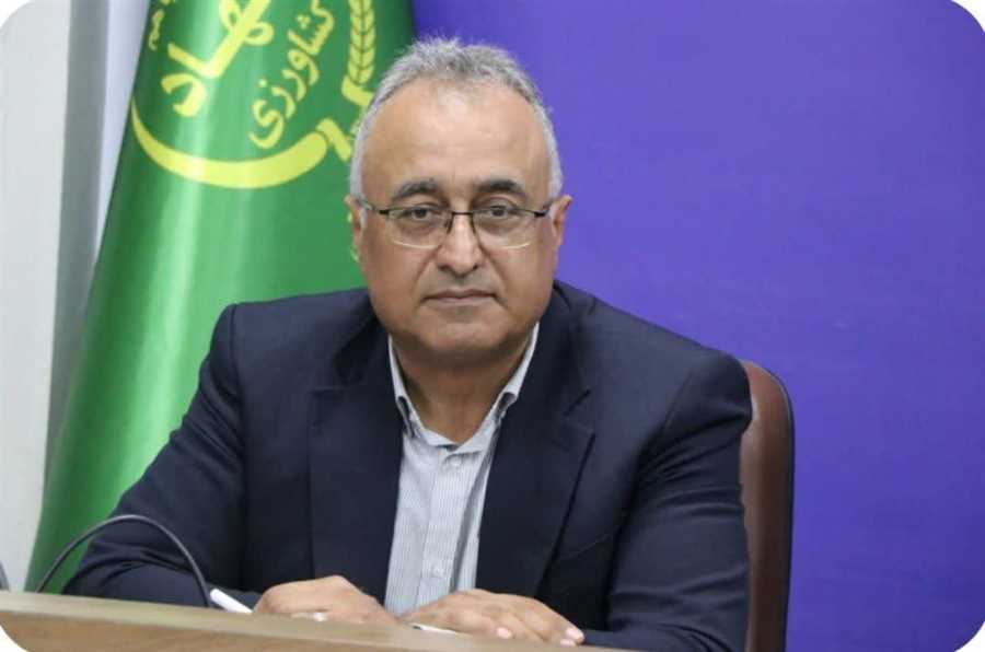 تولید سالانه بیش از ۴هزار تن تخم‌مرغ صنعتی در مازندران