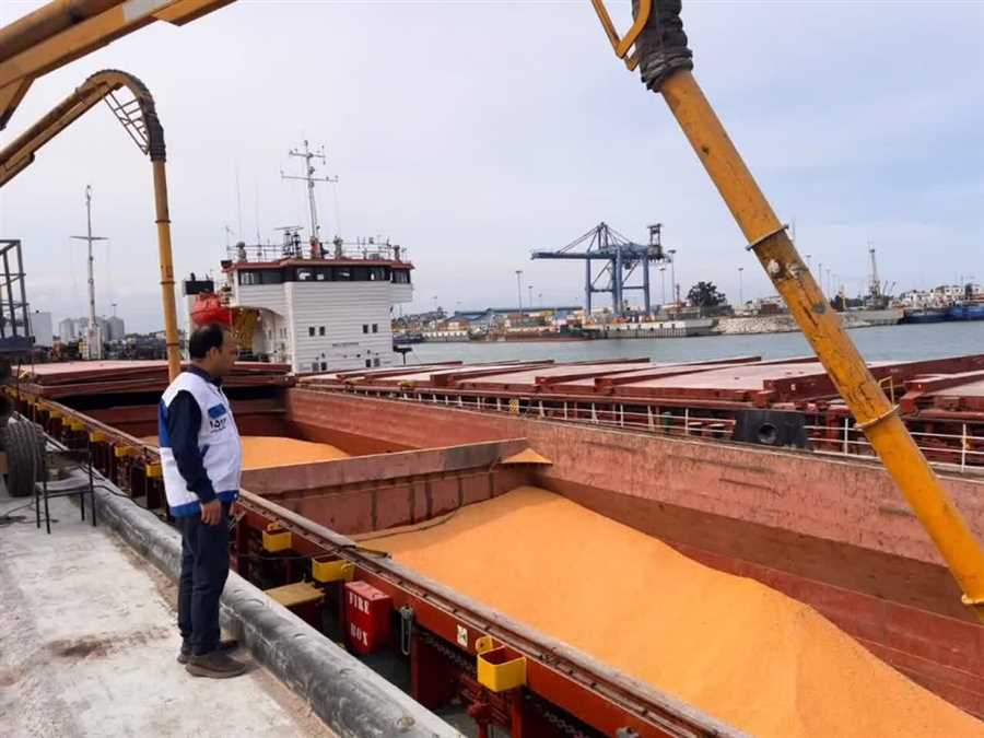 ترخیص ۲۶۸ هزار تن نهاده دامی در مازندران طی ایام جنگ 